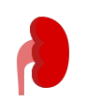 Nephrology Notes